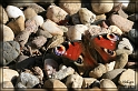 schmetterling_rahmen