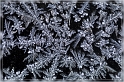 winter_01