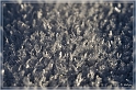 winter_02
