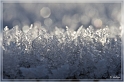 winter_03