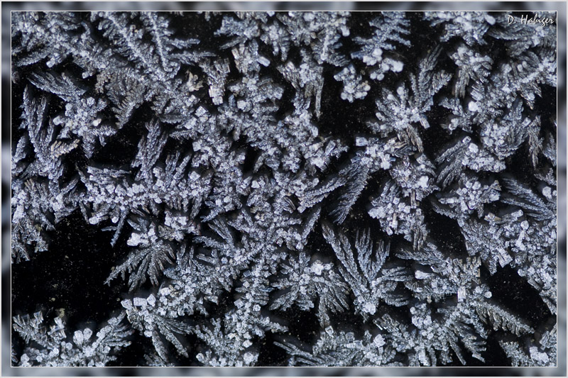 winter_01.jpg - Eiskristalle an einer Scheibe