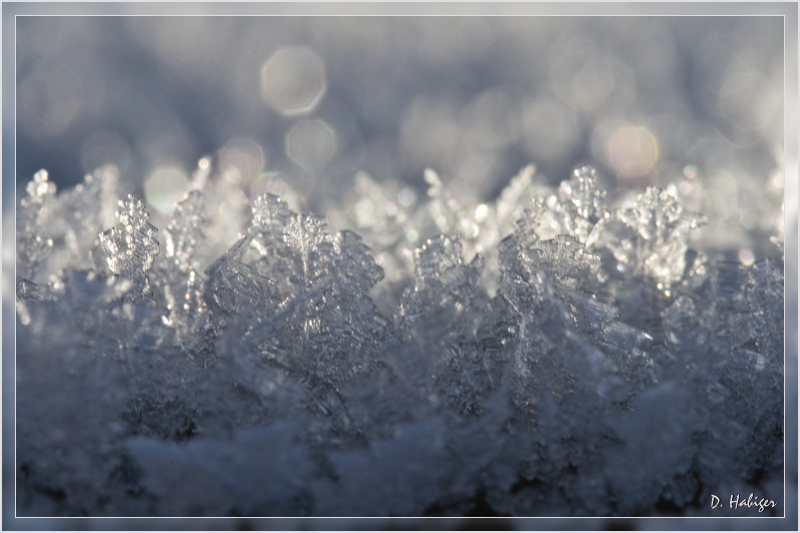 winter_03.jpg - Eiskristalle 02