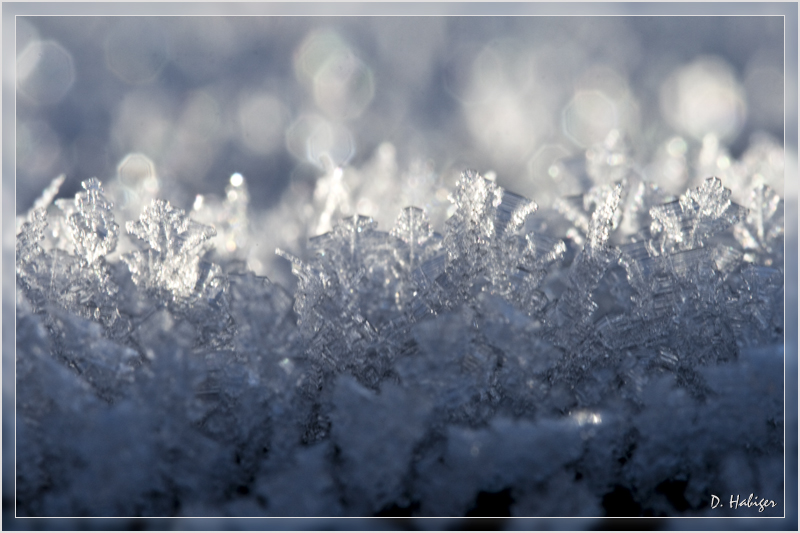 winter_04.jpg - Eiskristalle 03